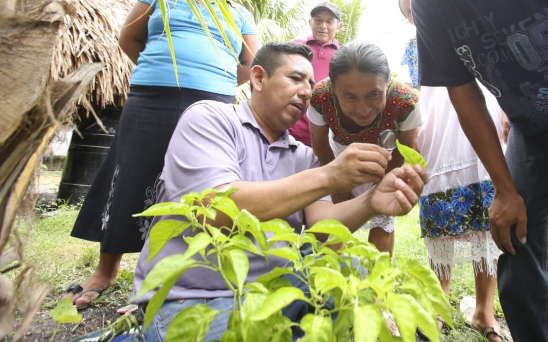 DIF Quintana Roo promueve la autosuficiencia y el desarrollo en comunidades del Estado