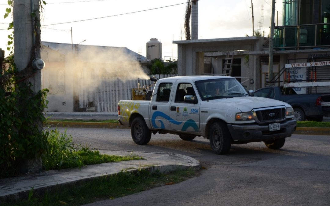 Sin criaderos no hay mosquitos, y sin mosquitos no hay dengue: SESA