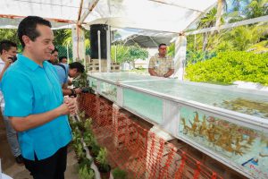 Gobierno de Quintana Roo, gobernador carlos Joaquín, Carlos Joaquin,Conanp, arrecifes, corales, restauración de arrecifes de coral, instituto nacional de pesca, inapesca,sociedad civil, medios ambiente, restauración de arrecifes.
