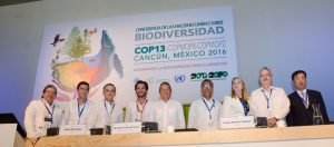 Carlos Joaquín,desarrollo sustentable,COP13,cambio climático,5ª Cumbre Global