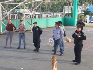 SSPQROO, Rodolfo del Ángel Campos, 9-1-1, comunidades rurales, Policía Rural, PRP, Sergio Butrón Casas, procedimiento para denunciar, Compromiso con la ciudadanía, inhibir delitos en Q. Roo, Tranquilidad de los quintanarroenses, más y mejores oportunidades para todos