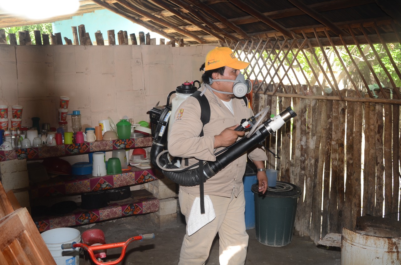 La SESA programa fumigación de un área de 1800 hectáreas en Cancún |  Coordinación General de Comunicación