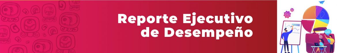 Reporte Ejecutivo de Desempeño