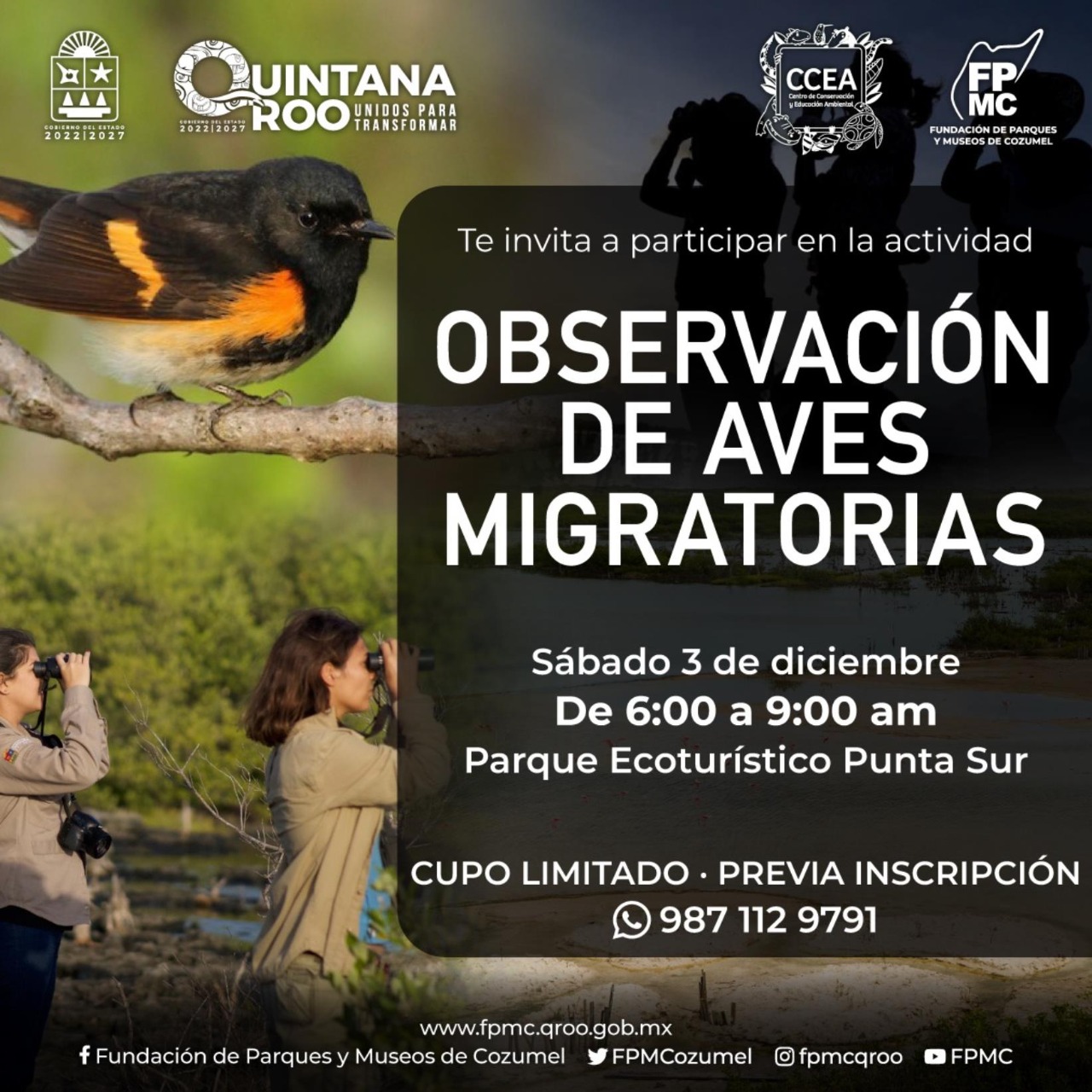 FPMC invita a la “Observación de Aves Migratorias” en Punta Sur - El Maya