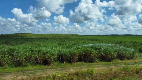 02f39a3a-cfe7-492b-ac95-5821587c8c3c