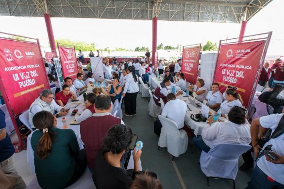 WhatsApp Image 2025-10-28 at 15.58.17