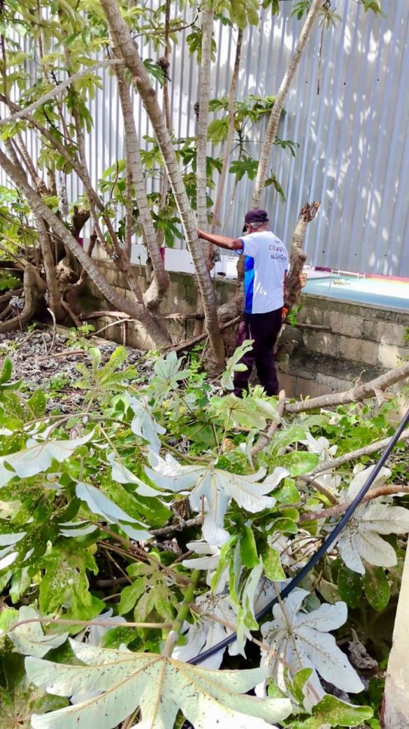 WhatsApp Image 2025-10-30 at 14.53.00