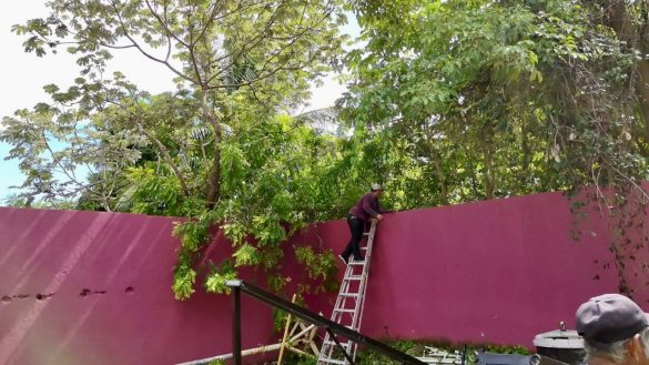 WhatsApp Image 2025-10-30 at 14.53.20 (1)