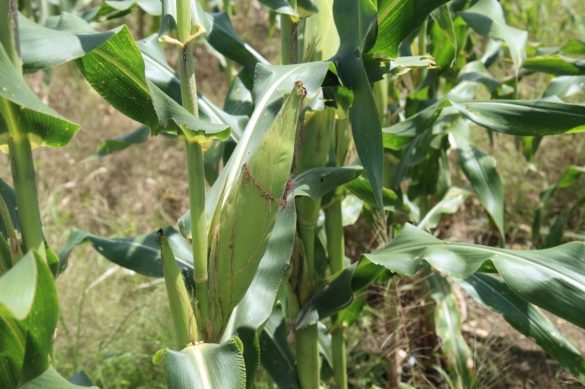 0e6f7e09-1331-4422-88f3-094f28b2fa4c