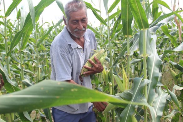 5bdad57a-7704-4803-b166-a01bd68e6465