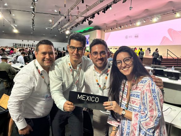 Imagen de WhatsApp 2025-11-17 a las 12.17.06_3519f6d8