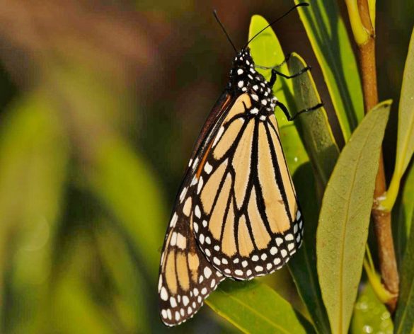 WhatsApp Image 2025-11-06 at 12.47.41