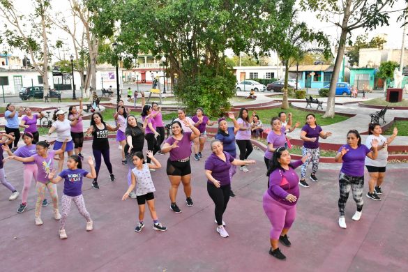 WhatsApp Image 2025-11-12 at 12.15.16