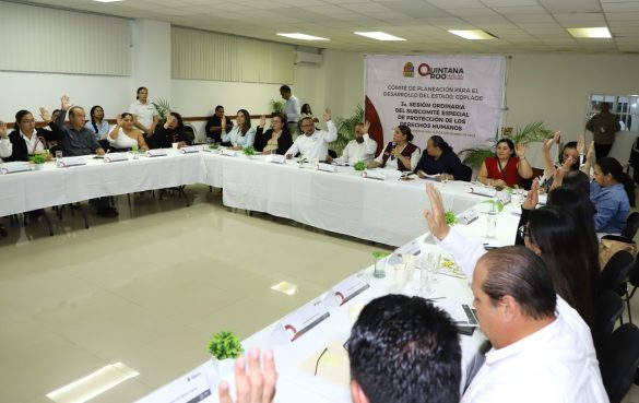 WhatsApp Image 2025-11-12 at 13.23.03