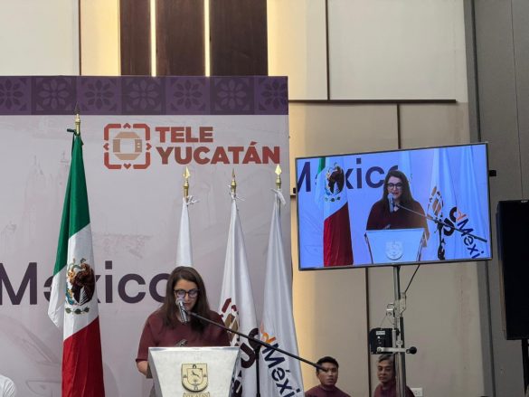 WhatsApp Image 2025-11-13 at 14.49.33 (1)