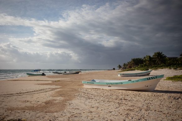 WhatsApp Image 2025-11-14 at 09.56.48 (2)