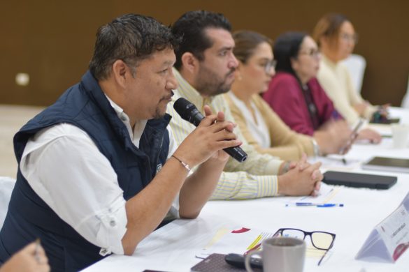 WhatsApp Image 2025-11-19 at 12.33.25 (1)