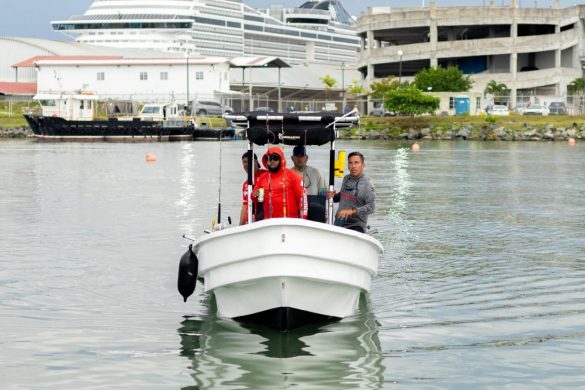 WhatsApp Image 2025-11-24 at 15.49.51