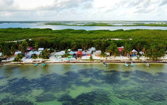 WhatsApp Image 2025-11-24 at 15.49.52 (1)