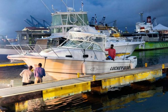 WhatsApp Image 2025-11-24 at 15.49.52 (2)