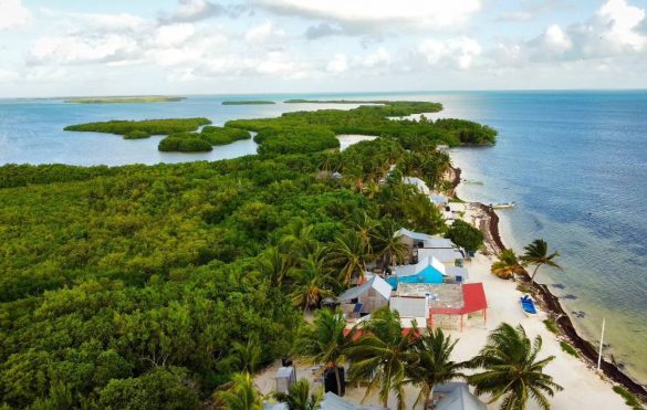 WhatsApp Image 2025-11-24 at 15.49.52