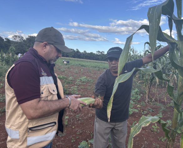 b14f9e1e-468d-4e3a-b122-3621ff9141fd