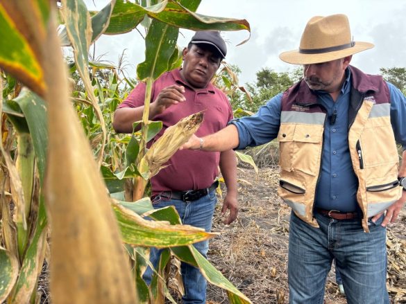 e07c4efc-f7ff-429c-9e35-9728831acc7d