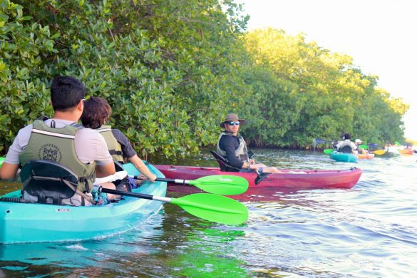 007445cf-9f5f-40a3-898d-5b48f67e3b95