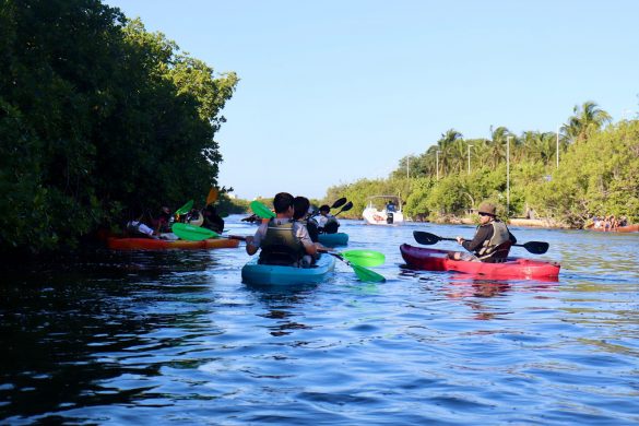 3d9cbee2-fb0a-43f6-a1de-2c9385b4fd78