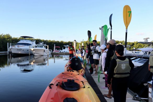 3e3ab125-a90f-42a3-8f54-8510e1b19e02