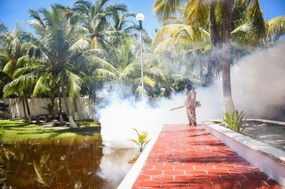 3fc69e4d-6713-4f34-9c0c-37961e6ccd10