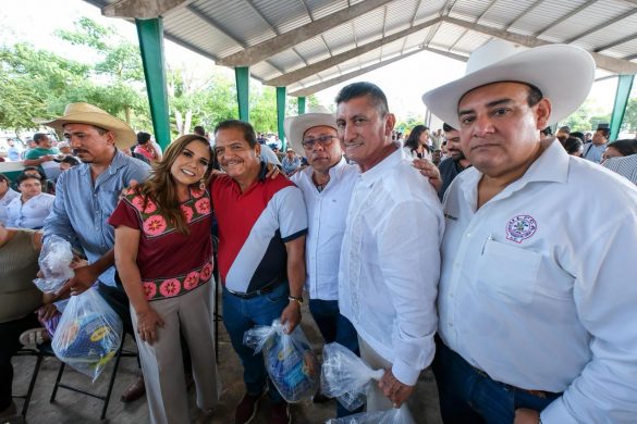 91d4c90c-9ed1-401e-b93c-e5fafaaa83fb