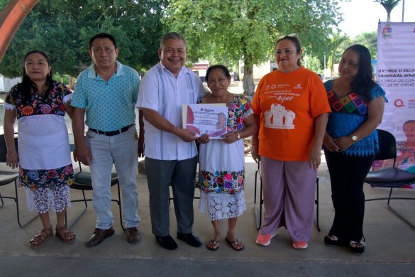 WhatsApp Image 2025-12-11 at 14.17.30