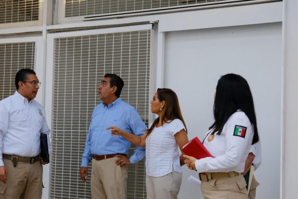 WhatsApp Image 2025-12-12 at 12.27.14 (1)