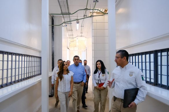 WhatsApp Image 2025-12-12 at 12.27.15