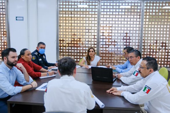 WhatsApp Image 2025-12-12 at 12.27.16 (1)