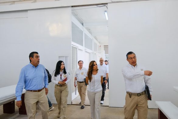 WhatsApp Image 2025-12-12 at 12.27.16 (3)