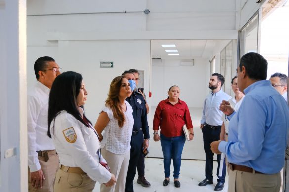 WhatsApp Image 2025-12-12 at 12.27.17