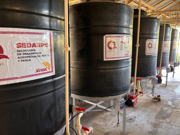 WhatsApp Image 2025-12-12 at 13.36.51 (1)