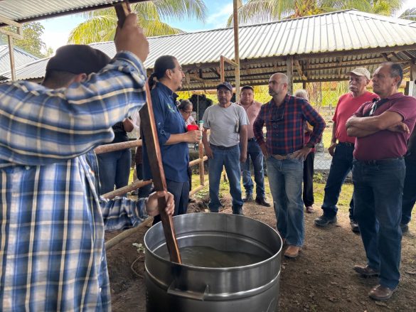 WhatsApp Image 2025-12-12 at 13.36.51 (2)