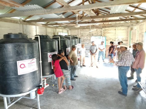 WhatsApp Image 2025-12-12 at 13.36.51 (3)