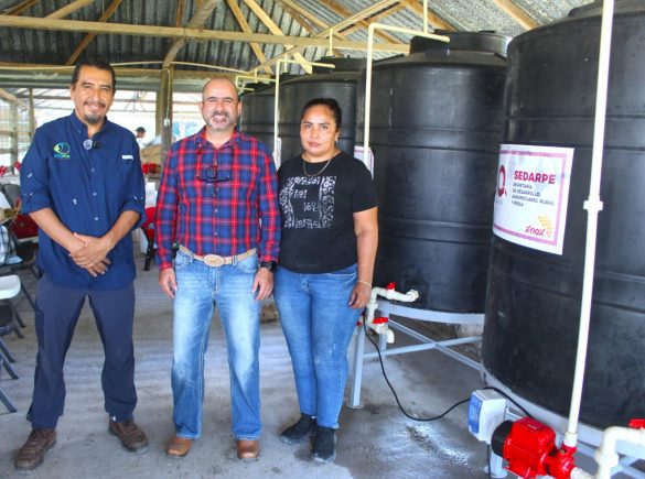 WhatsApp Image 2025-12-12 at 13.36.51