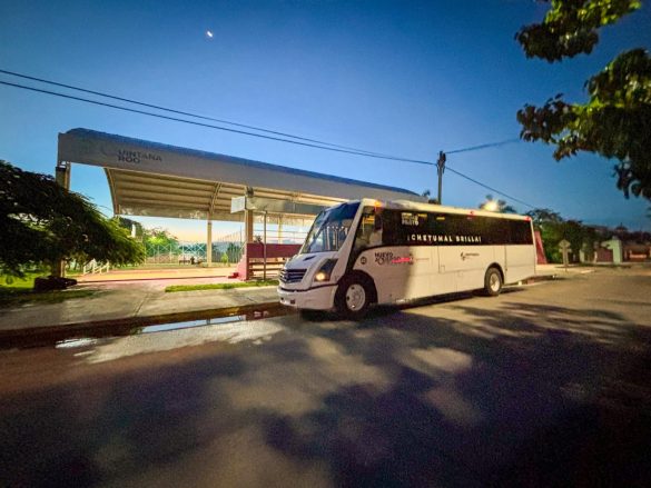 WhatsApp Image 2025-12-15 at 15.18.39