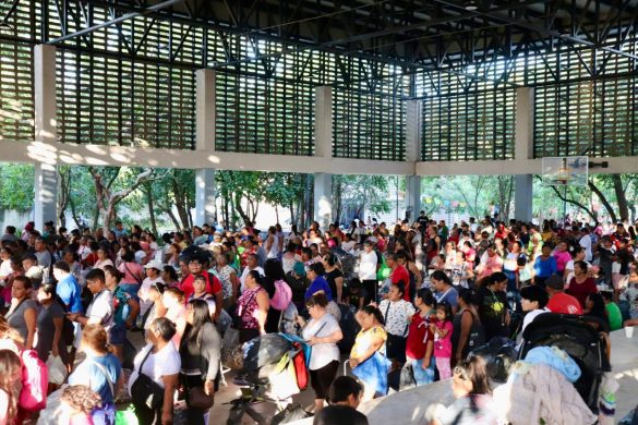 WhatsApp Image 2025-12-16 at 14.16.45 (3)