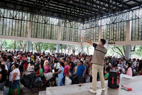 WhatsApp Image 2025-12-16 at 14.16.45