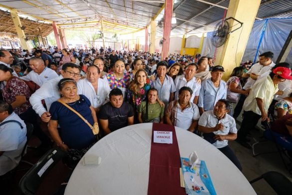 WhatsApp Image 2025-12-16 at 14.53.15