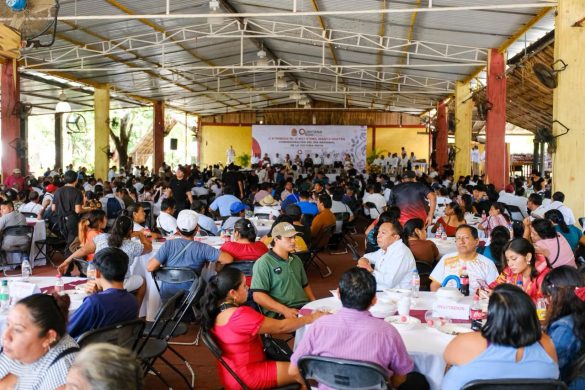 WhatsApp Image 2025-12-16 at 14.53.21