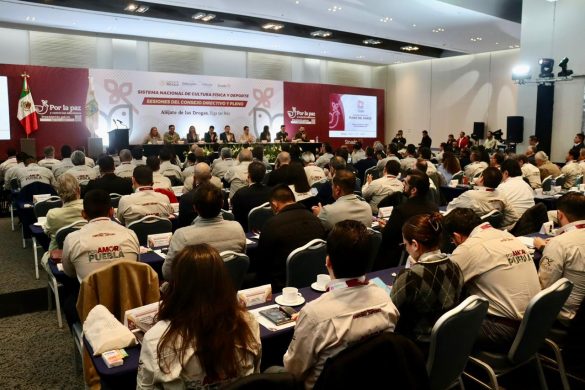 WhatsApp Image 2025-12-16 at 7.51.46 PM (2)