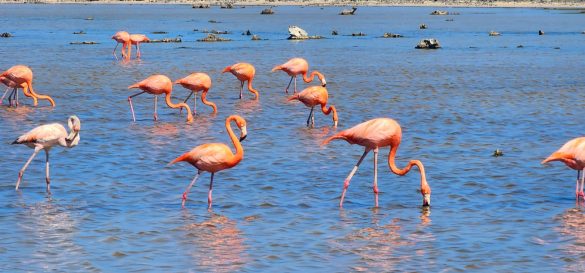 WhatsApp Image 2025-12-20 at 12.13.23 PM (1)