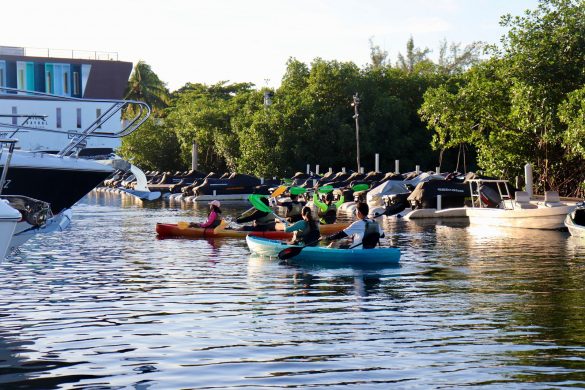 bebe5d32-ccaf-49b4-91b9-cab981511671